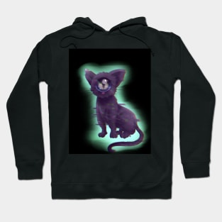 What a weird cat Hoodie